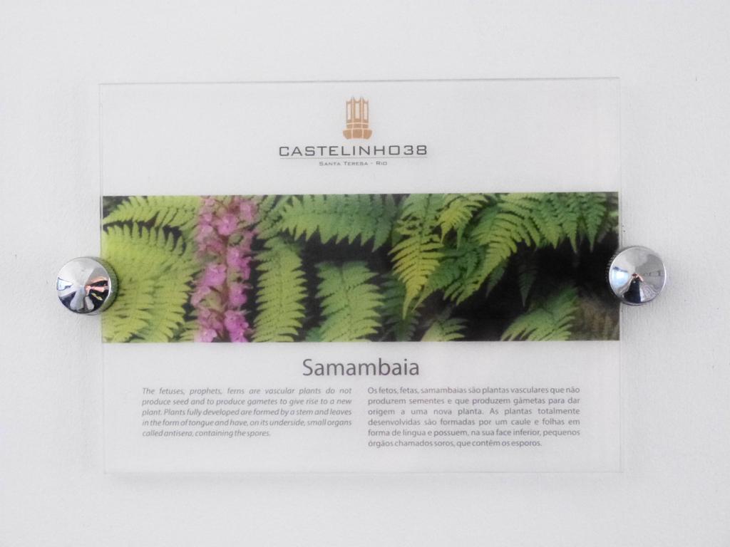Boutique Hotel Castelinho リオデジャネイロ 部屋 写真